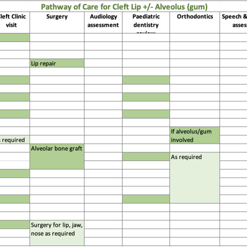 Cleft Lip/Alveolus