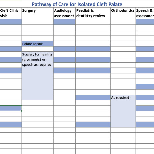 Isolated Cleft Palate